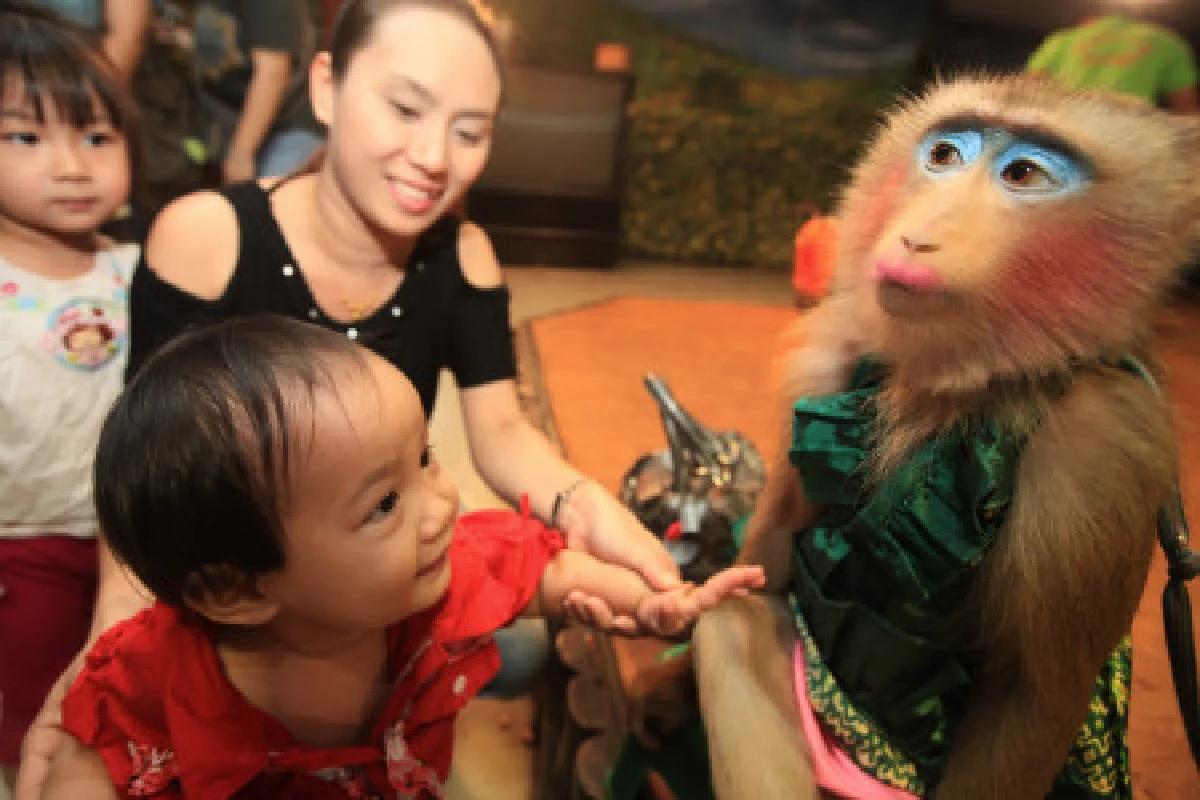 คณะประกิตซ้อมหนักเตรียมแสดงหน้าพระพักตร์