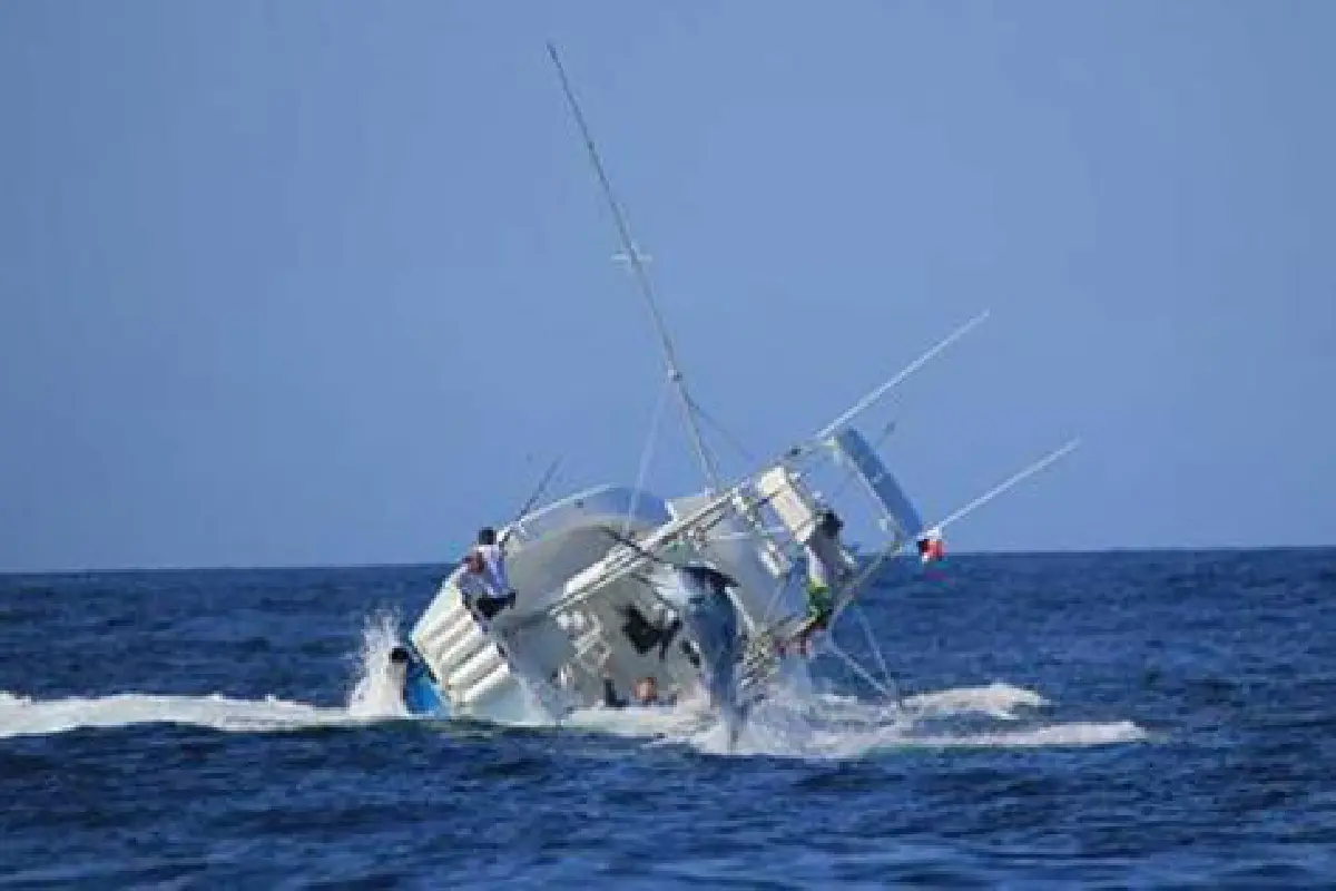 กัปตันพลาดเจอปลายักษ์ลากเรือล่ม