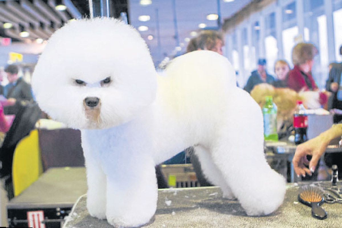 เบื้องหลัง เบื้องหลัง