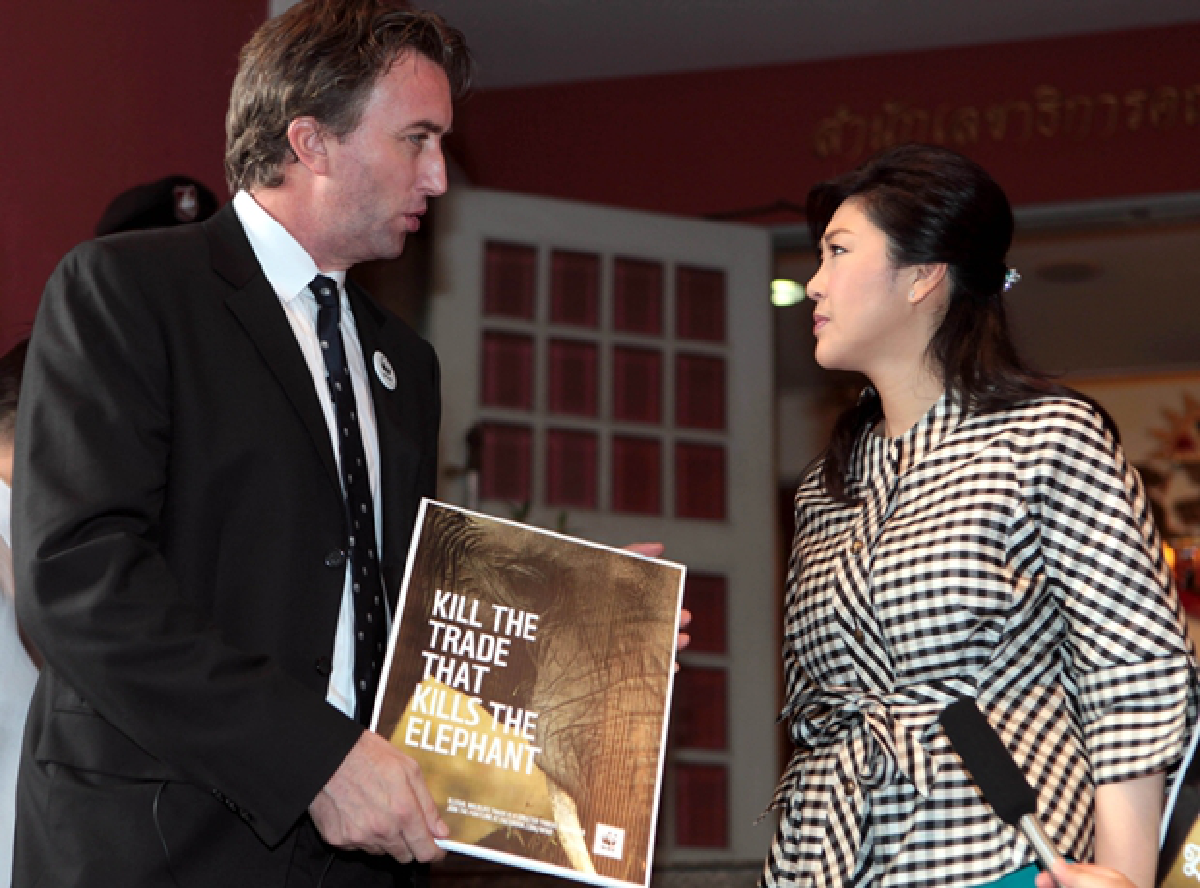 WWF urges govt to get tough on ivory