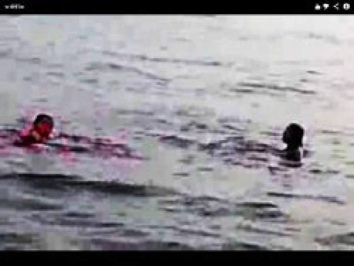 River rescue: Goes viral on YouTube