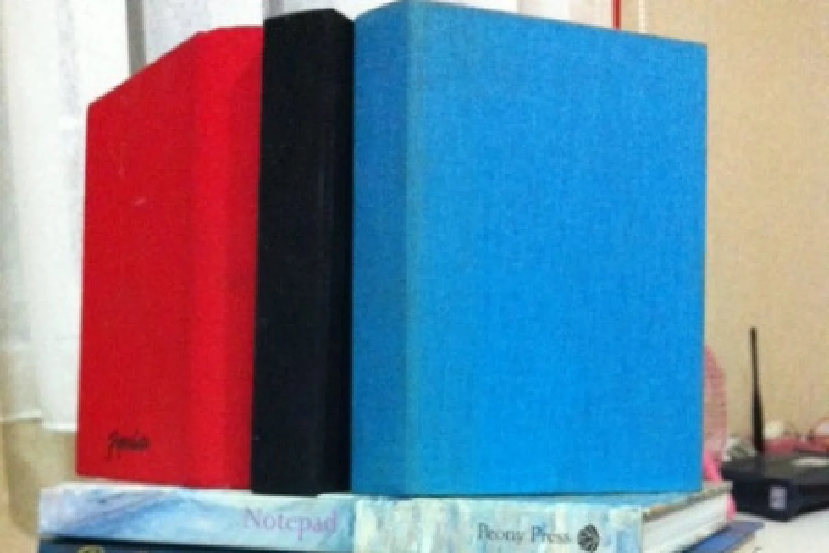 ไดอะรีชีวิต..ของ"ณัฏฐา โกมลวาทิน"