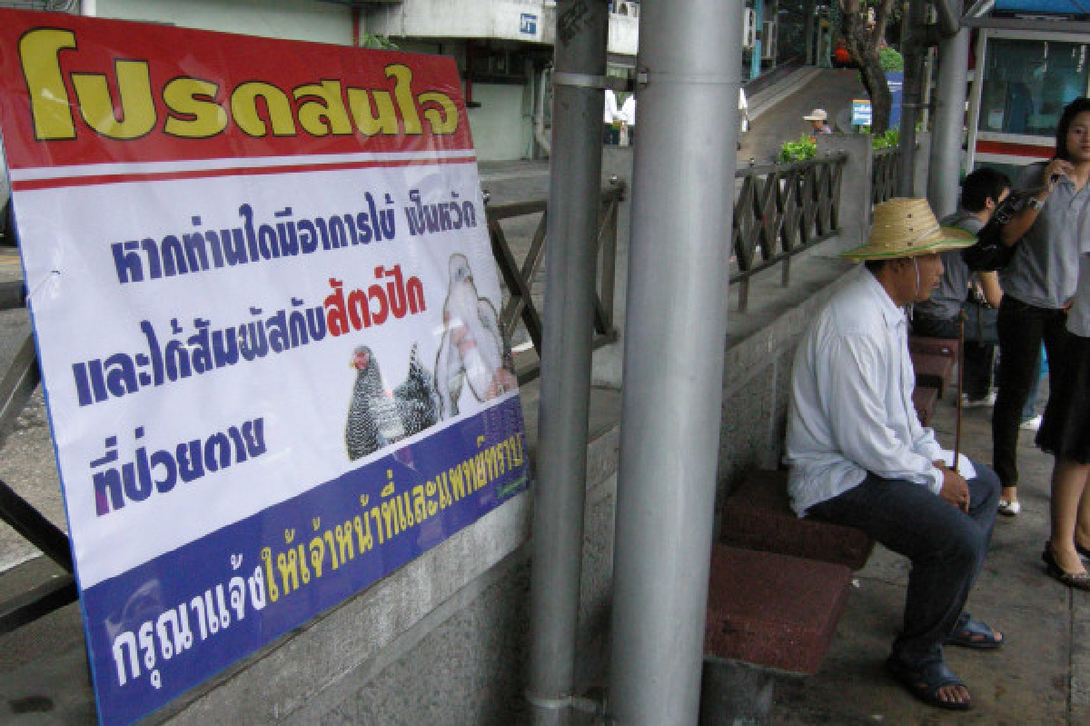 เกษตรฯประชุมรับมือความเสี่ยงไข้หวัดนก เกษตรฯประชุมรับมือความเสี่ยงไข้หวัดนก