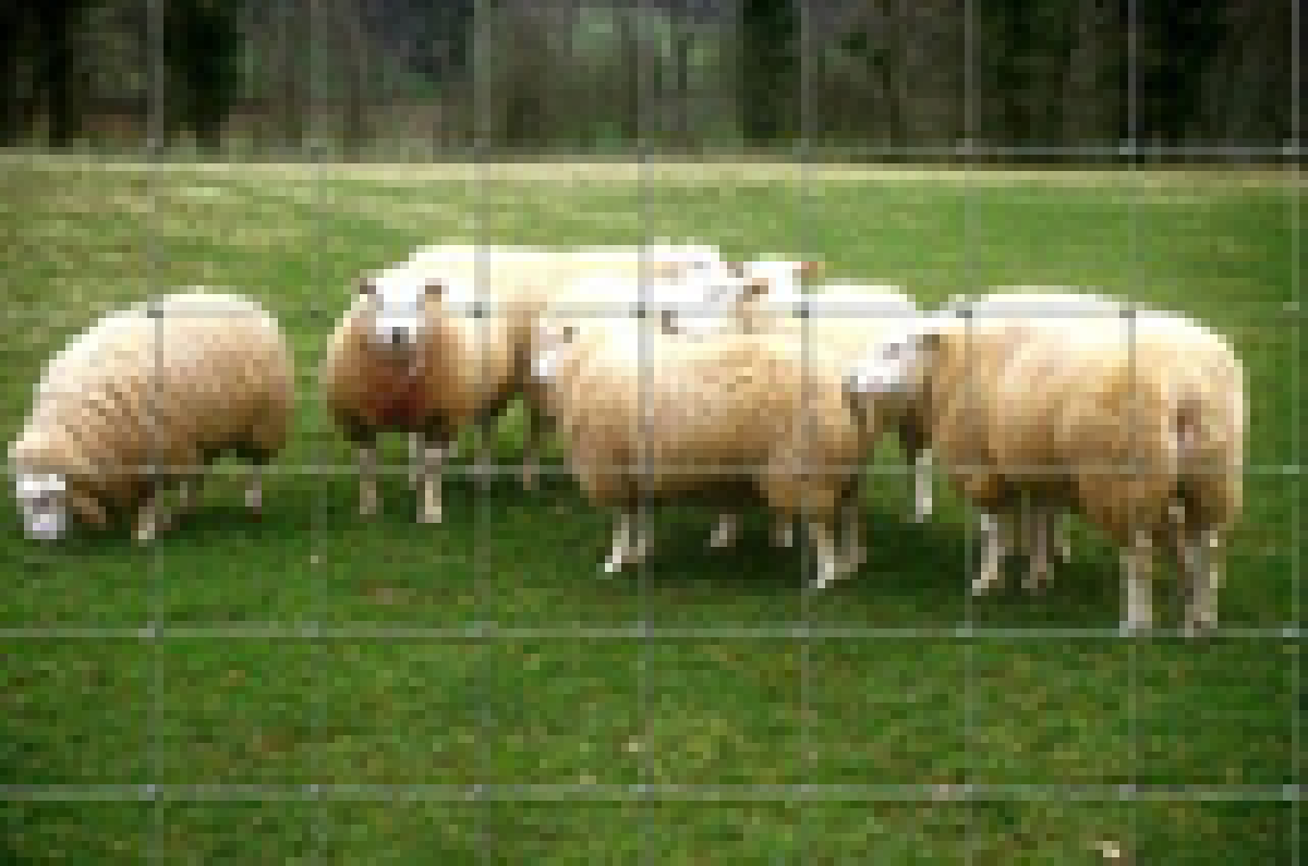 enclosure