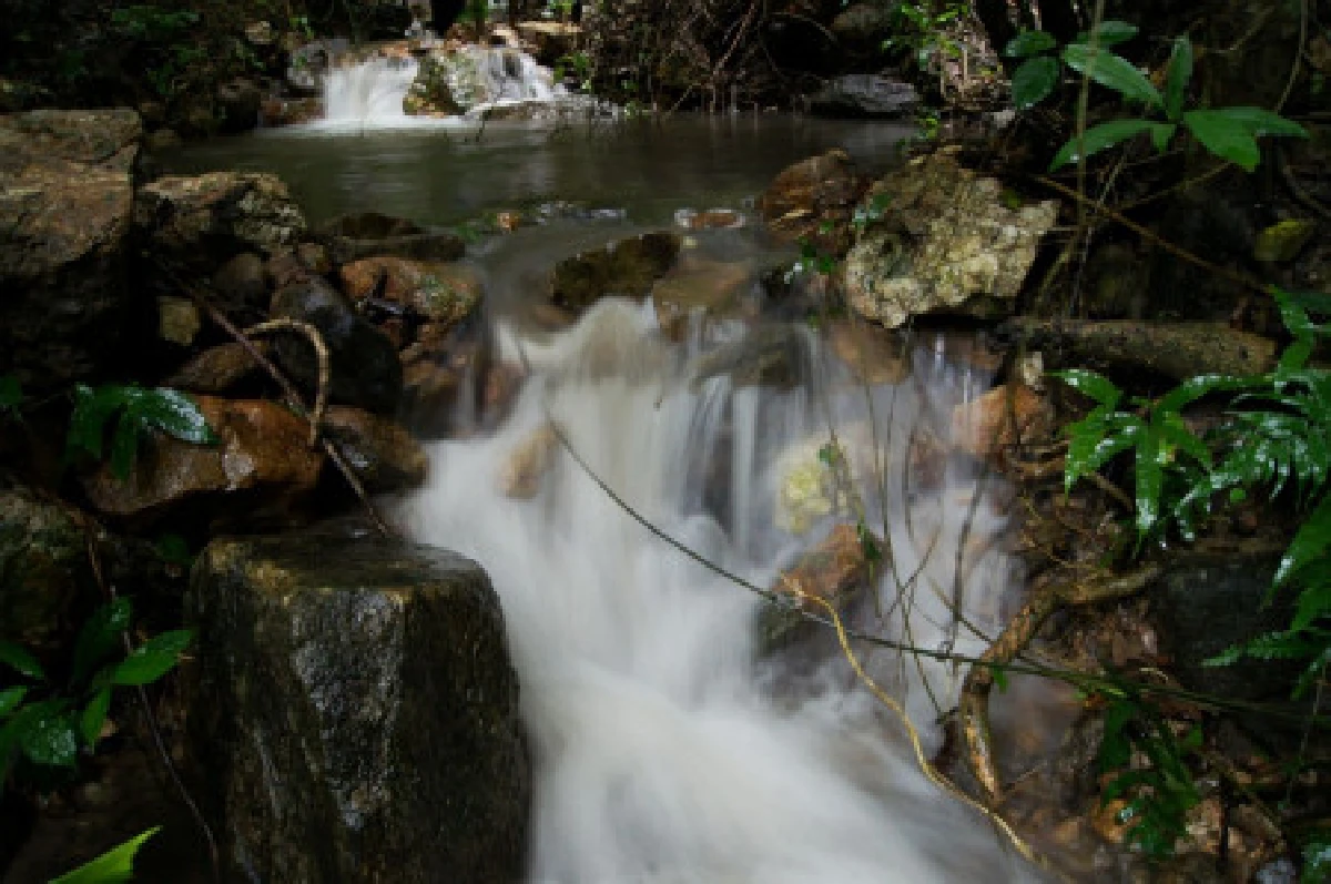 แต่งเป็น"พญามังราย"ต้องเคารพภูมิปัญญาล้านนา
