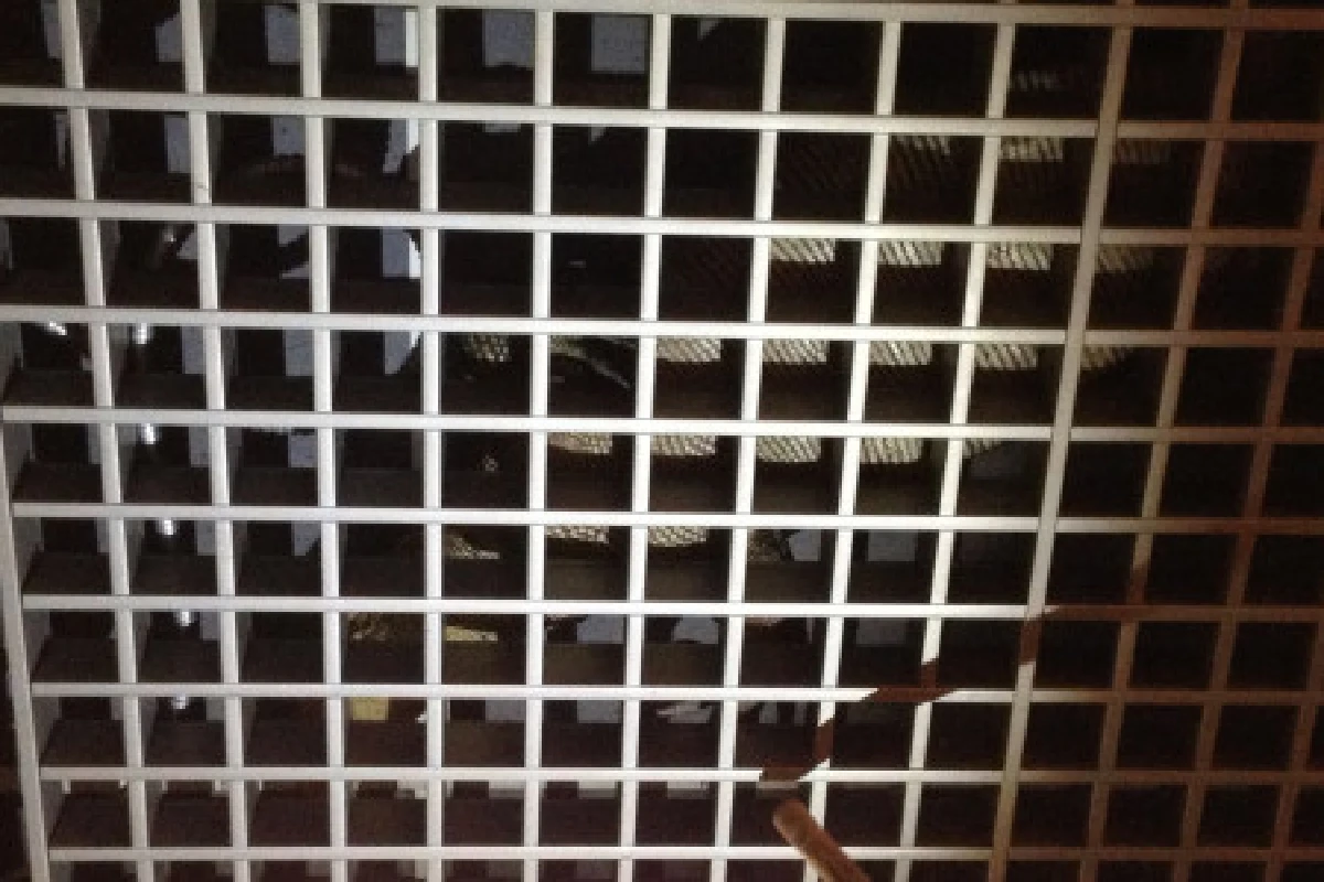 ตัวเงินตัวทองโผล่ฝ้าเพดานห้องโถงสภา