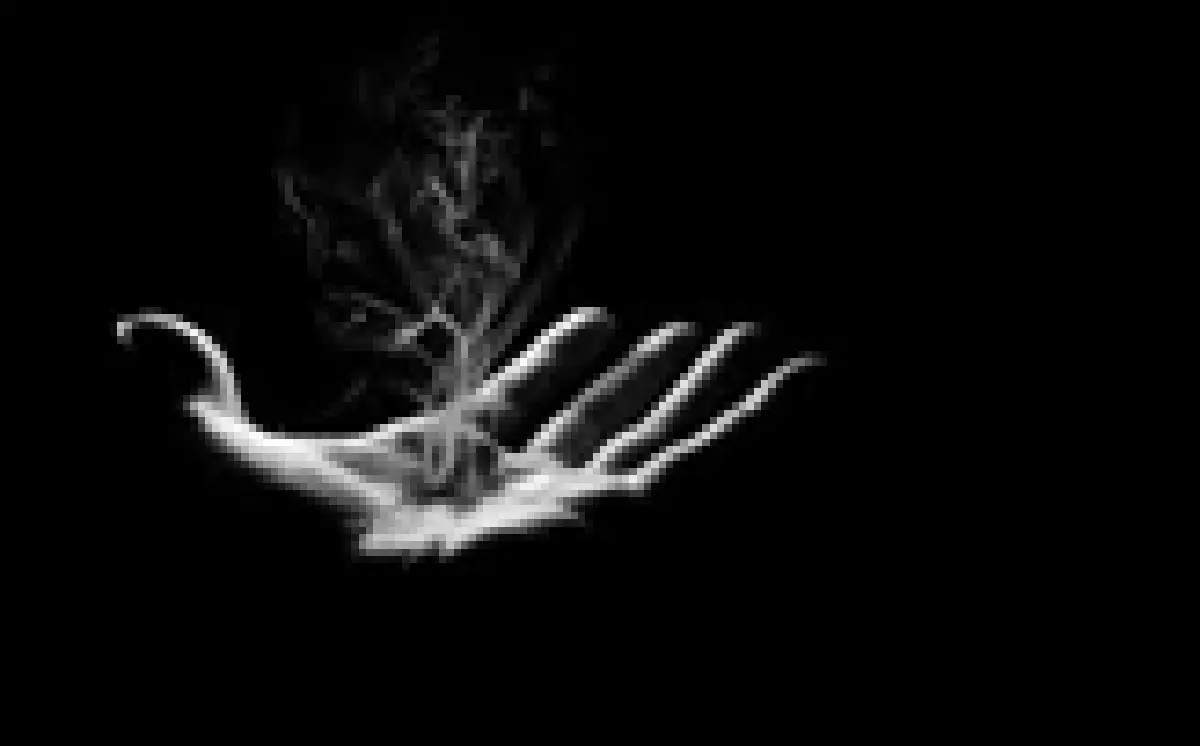 vanish