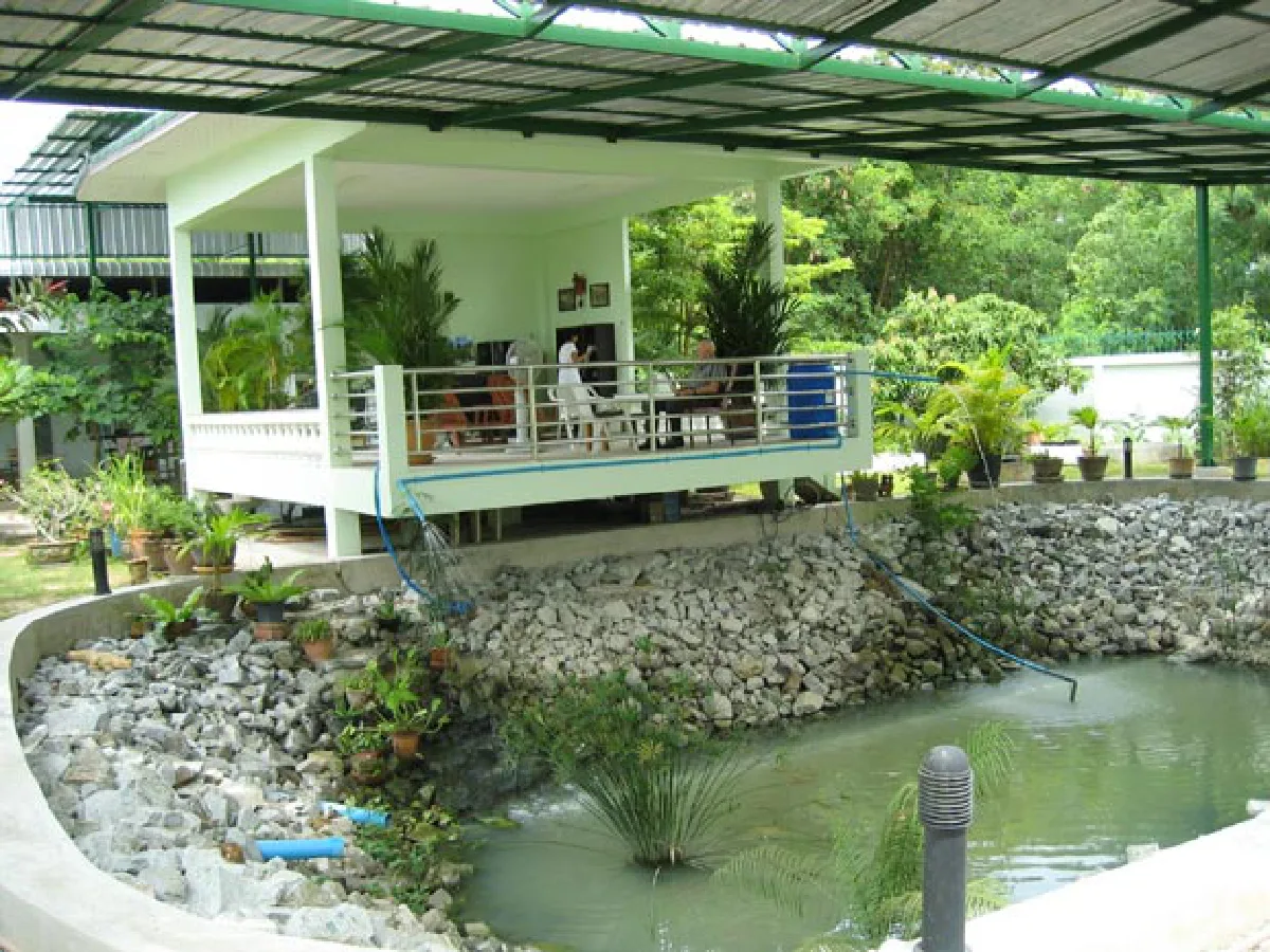 A Property in Pattaya