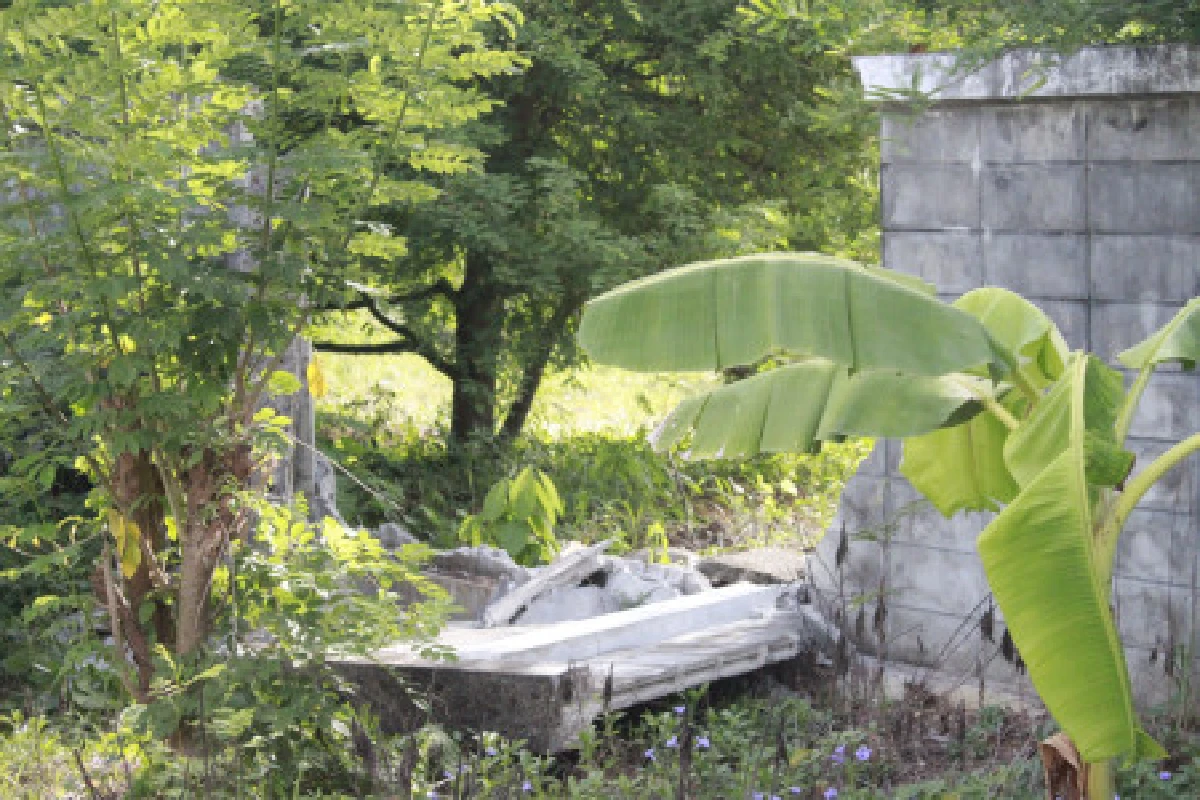 ต้อนช้างตาบอดเข้าป่าหลังเดินหลงเข้าร.พ.