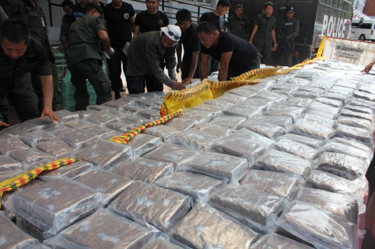 ตร.ล่อซื้อกัญชาล็อตใหญ่2.5พันกก. ตร.ล่อซื้อกัญชาล็อตใหญ่2.5พันกก.