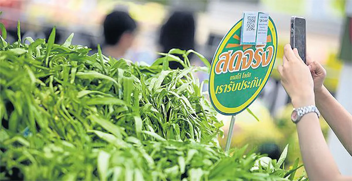 Know your vegetables: Know they are safe