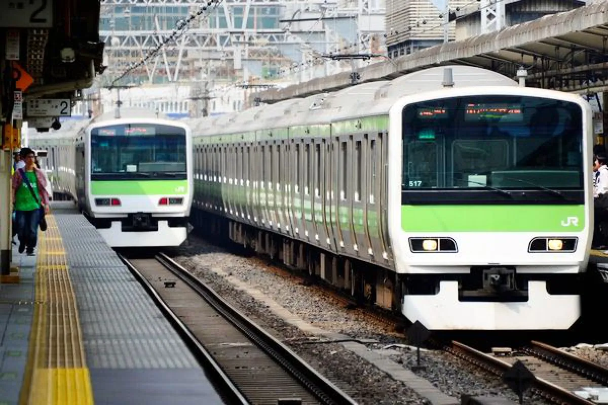 Tokyo train wedding: One lucky couple