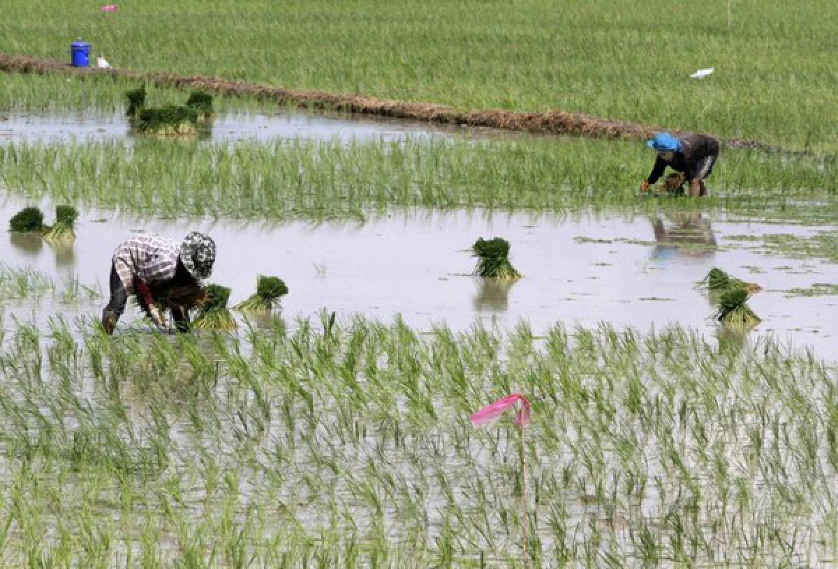 Farmers threaten mass Bangkok protest