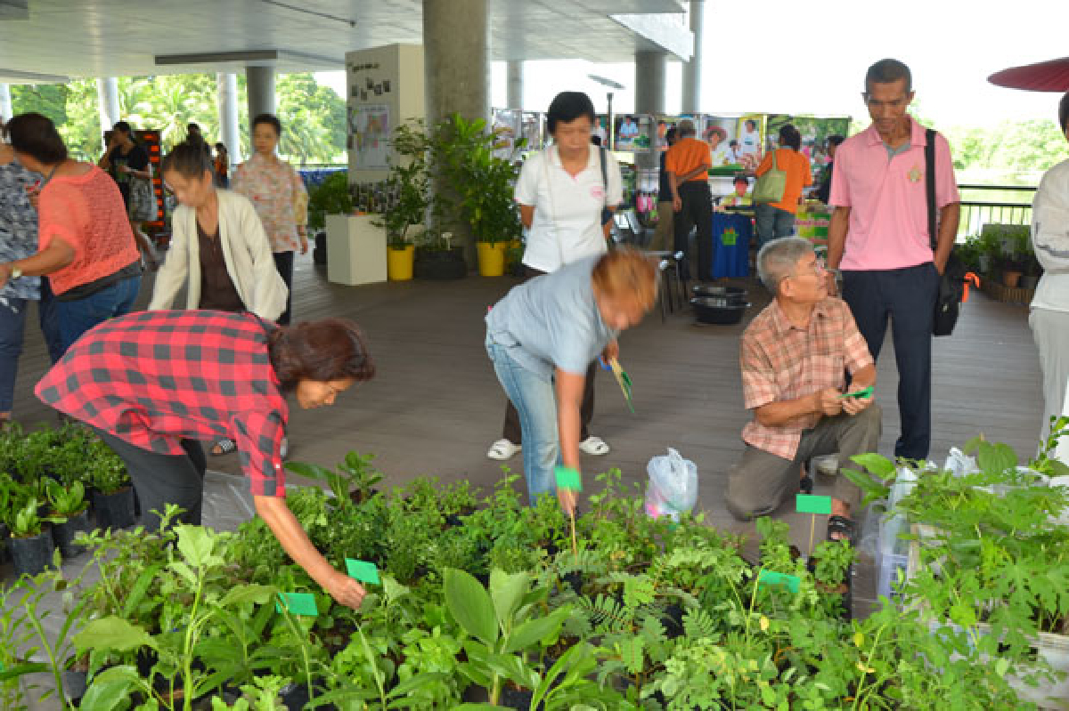 การเกษตรในเขตเมือง..ทางเลือกที่ทำได้จริง การเกษตรในเขตเมือง..ทางเลือกที่ทำได้จริง