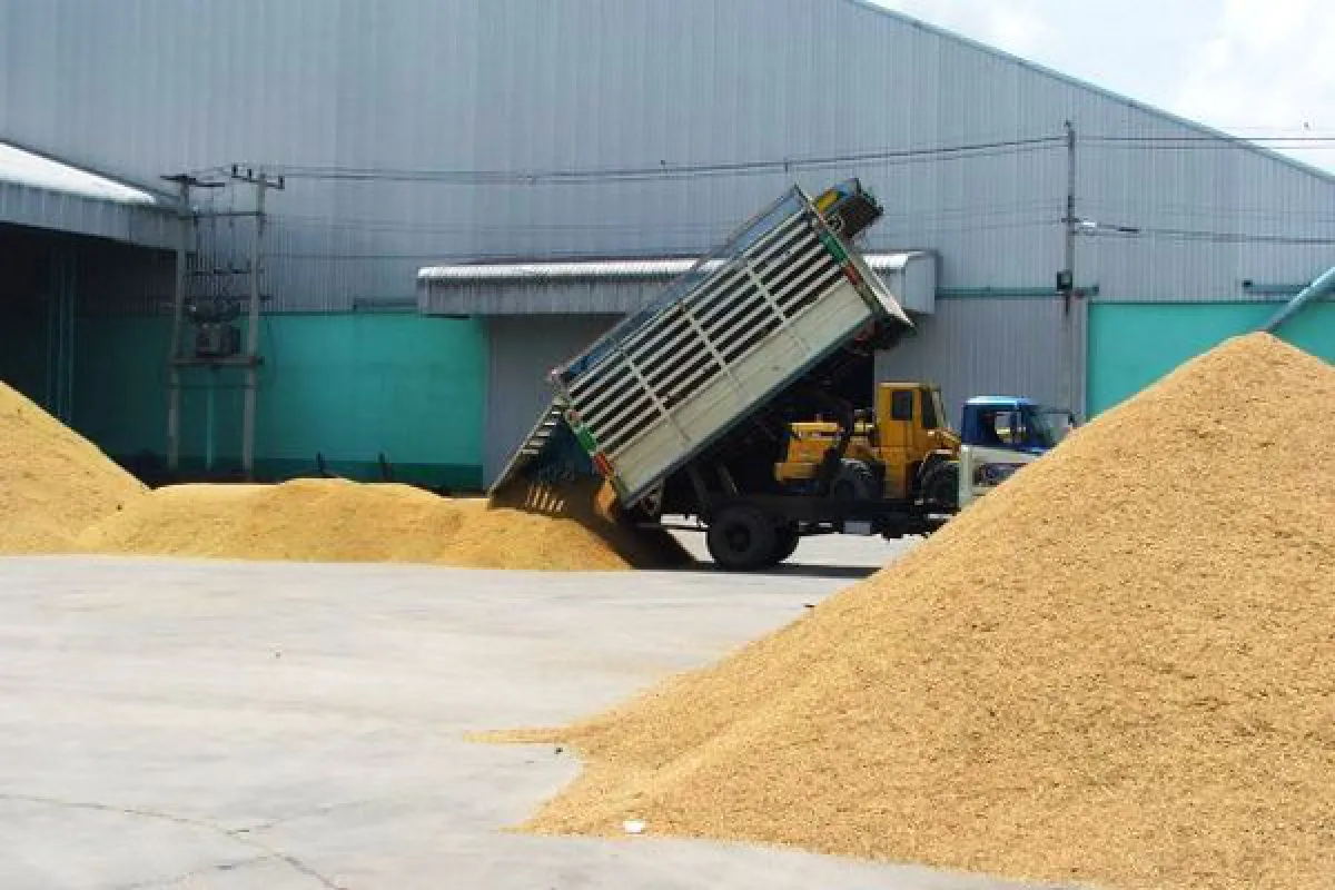 Rice corruption: Bigger problem than debt