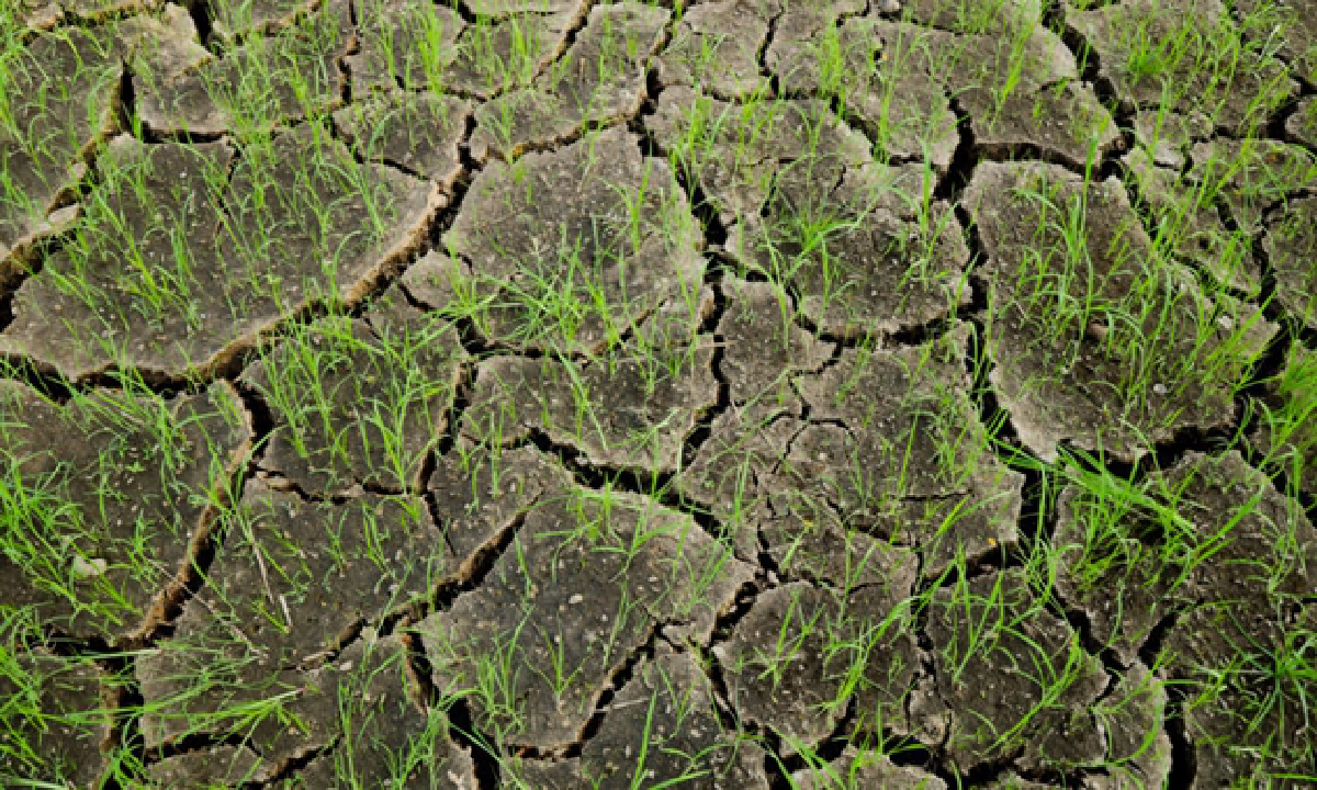 The Raknam Kaem Ling project