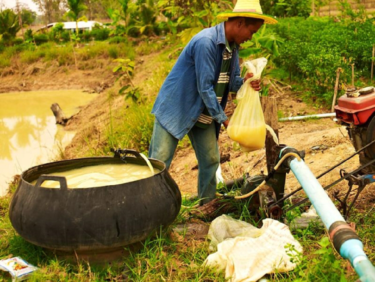 The Raknam Kaem Ling project