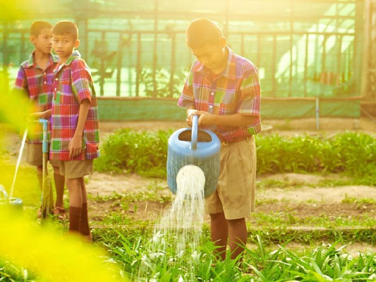 The Raknam Kaem Ling project