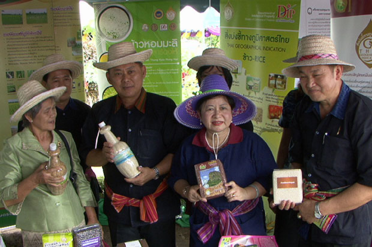 ศรีสะเกษจัดงานวันข้าวหอมทุ่งกุลา ศรีสะเกษจัดงานวันข้าวหอมทุ่งกุลา