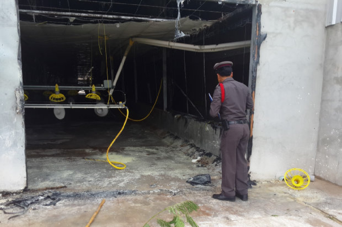 จับ2พม่าต้องสงสัยวางเพลิงโรงเลี้ยงไก่สหฟาร์ม จับ2พม่าต้องสงสัยวางเพลิงโรงเลี้ยงไก่สหฟาร์ม