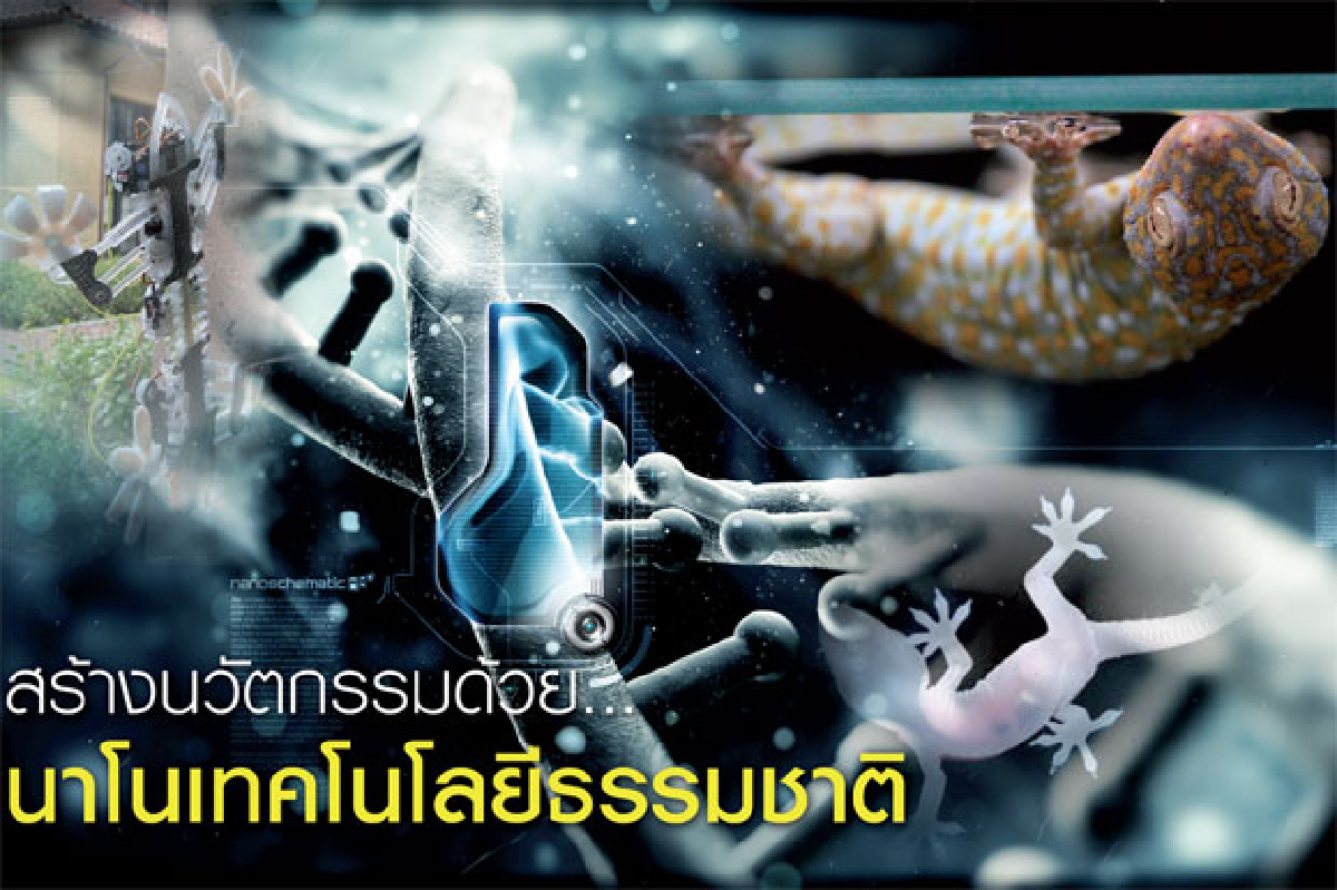 สร้างนวัตกรรมด้วย...นาโนเทคโนโลยีธรรมชาติ สร้างนวัตกรรมด้วย...นาโนเทคโนโลยีธรรมชาติ