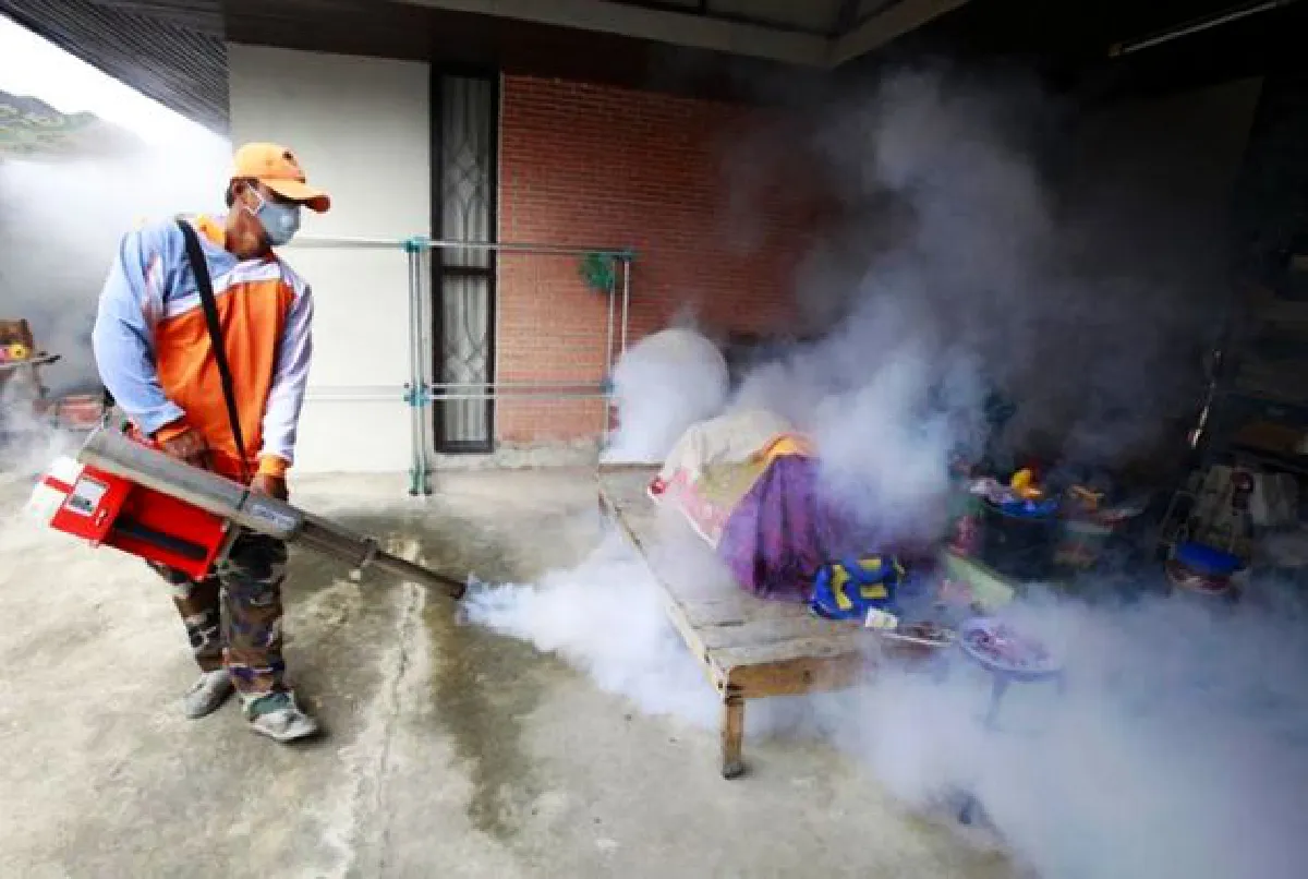 Dengue epidemic looms?