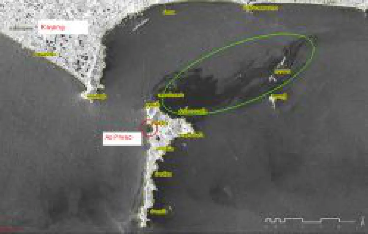 Oil spill clean-up chemicals: What are they?