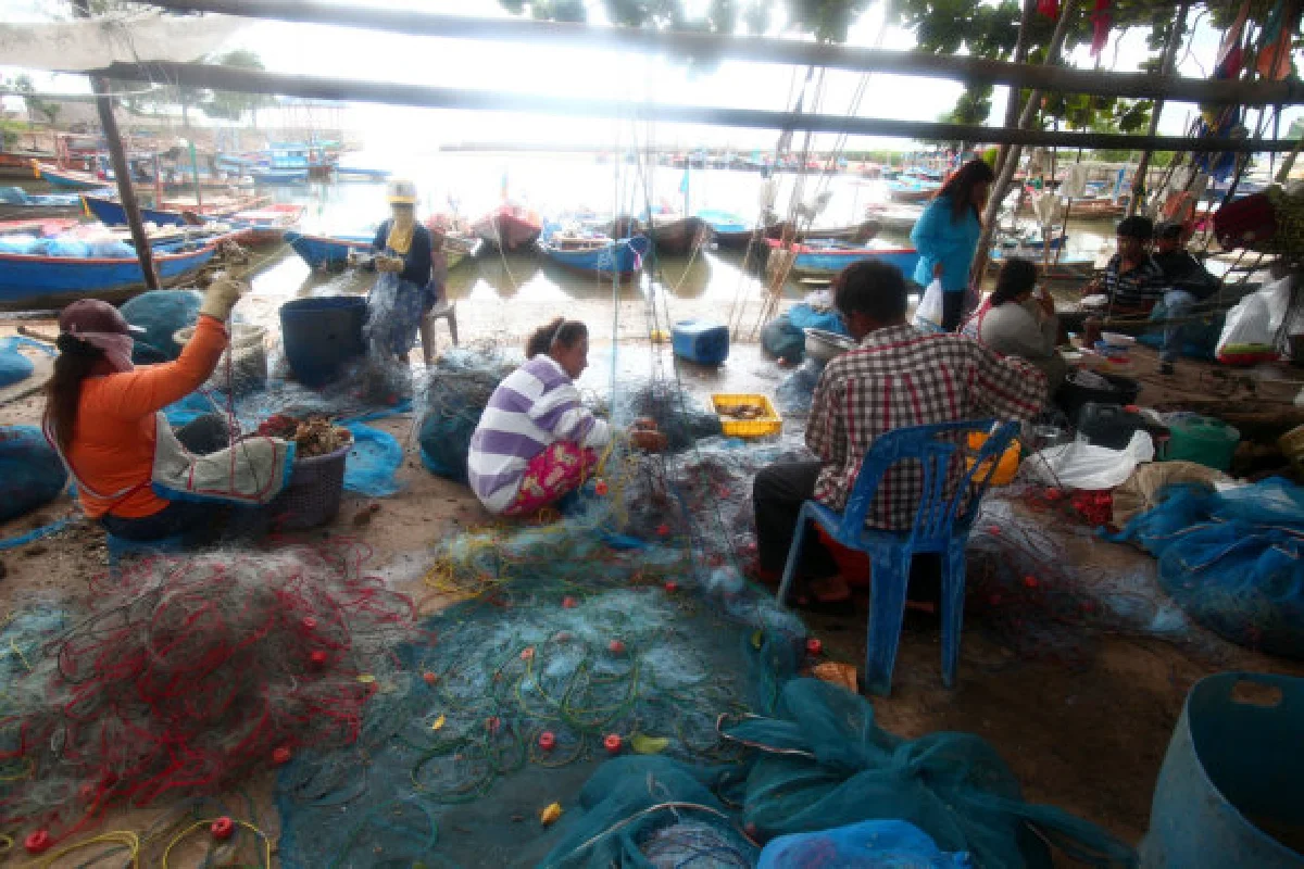 ปูระยองราคาตกคนแหยงซื้อ