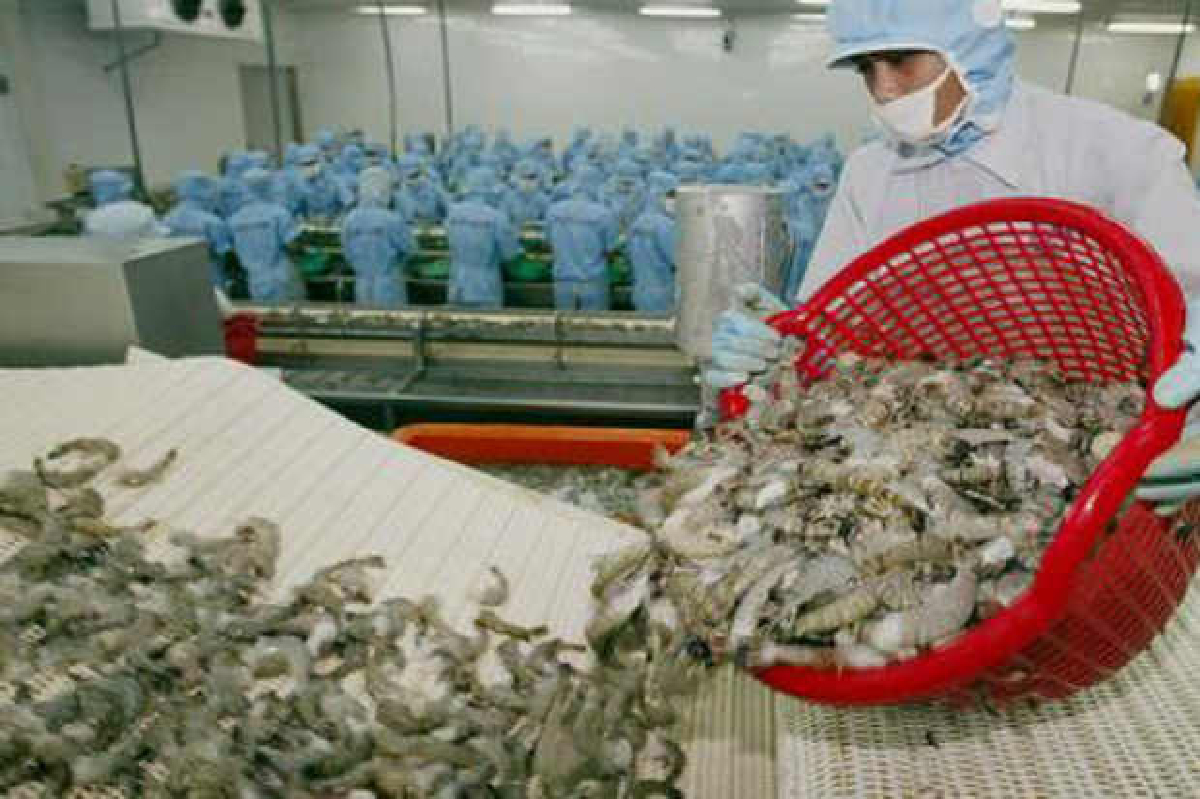 ผู้ส่งออกเฮ!กุ้งไทยได้ยกเว้นภาษีสหรัฐ ผู้ส่งออกเฮ!กุ้งไทยได้ยกเว้นภาษีสหรัฐ