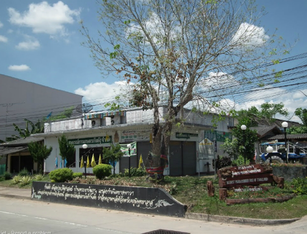 Rubber: A Na-Ranong struggles with history