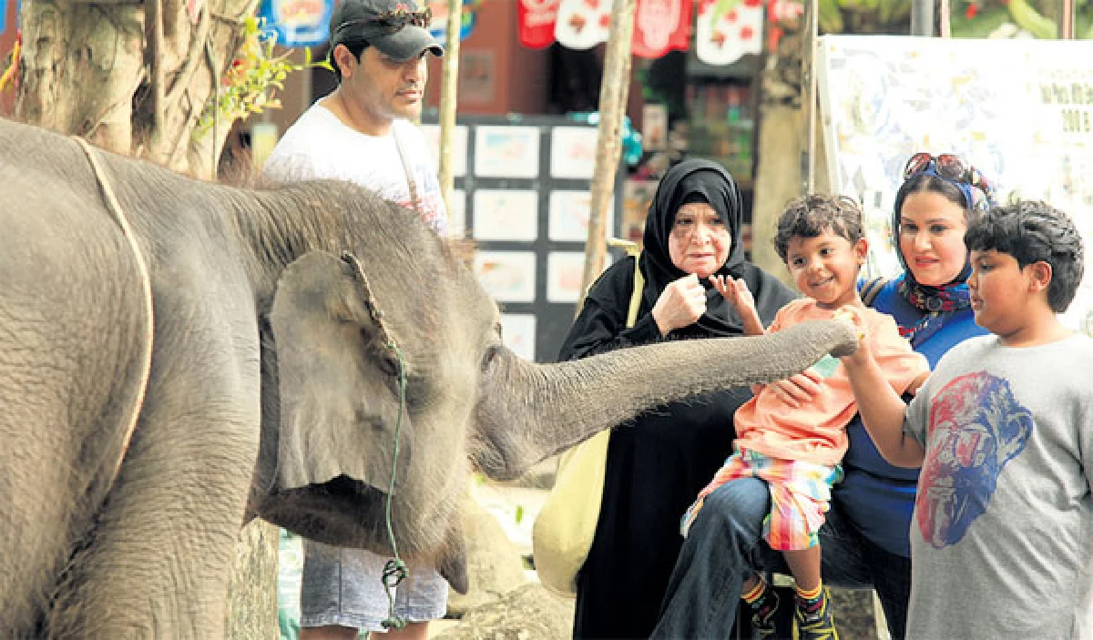 ไข่นอก ไข่ใน