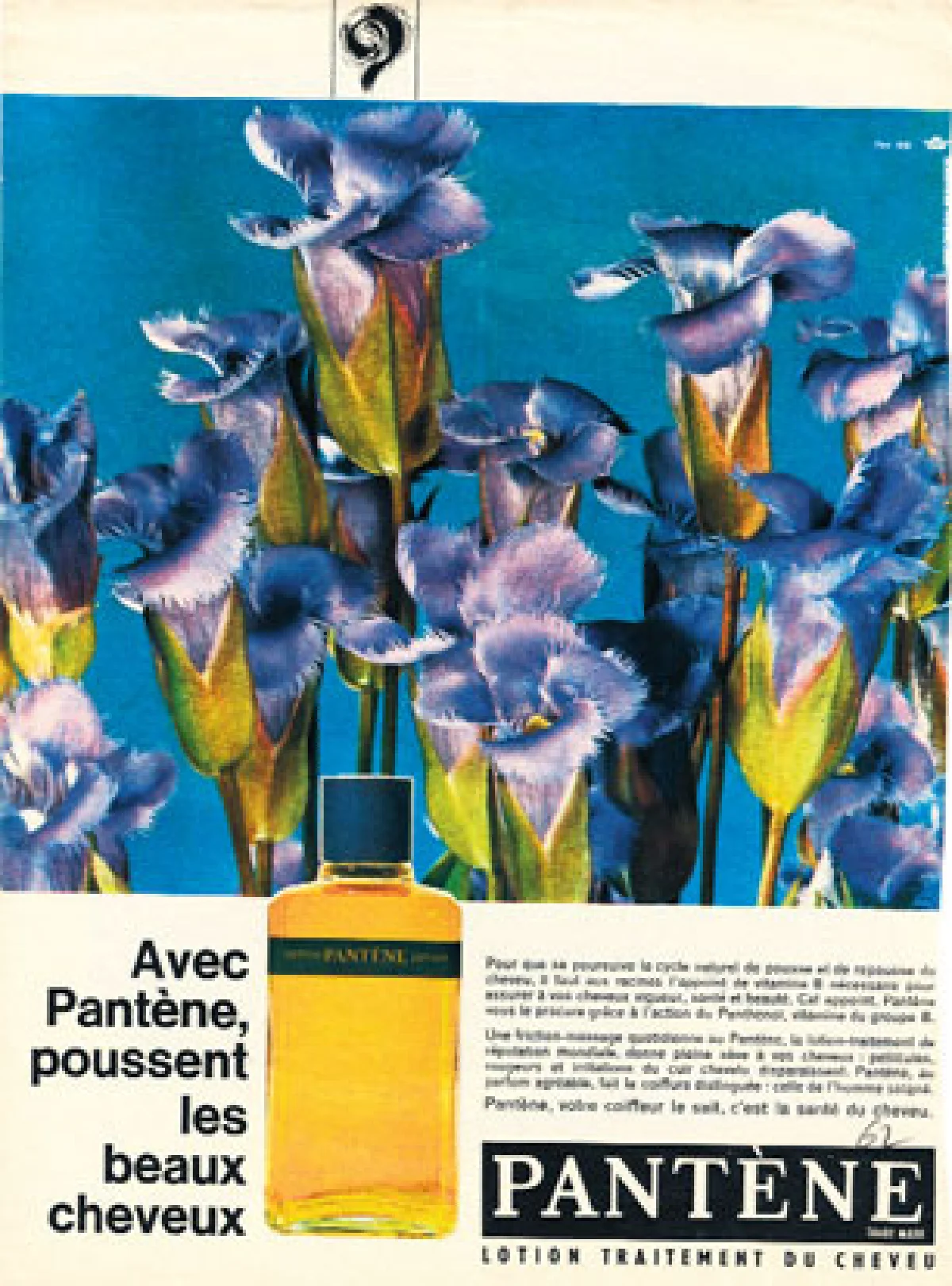 ทศวรรษที่ 7 ‘แพนทีน’ สาวผมสลวยจากยุโรป