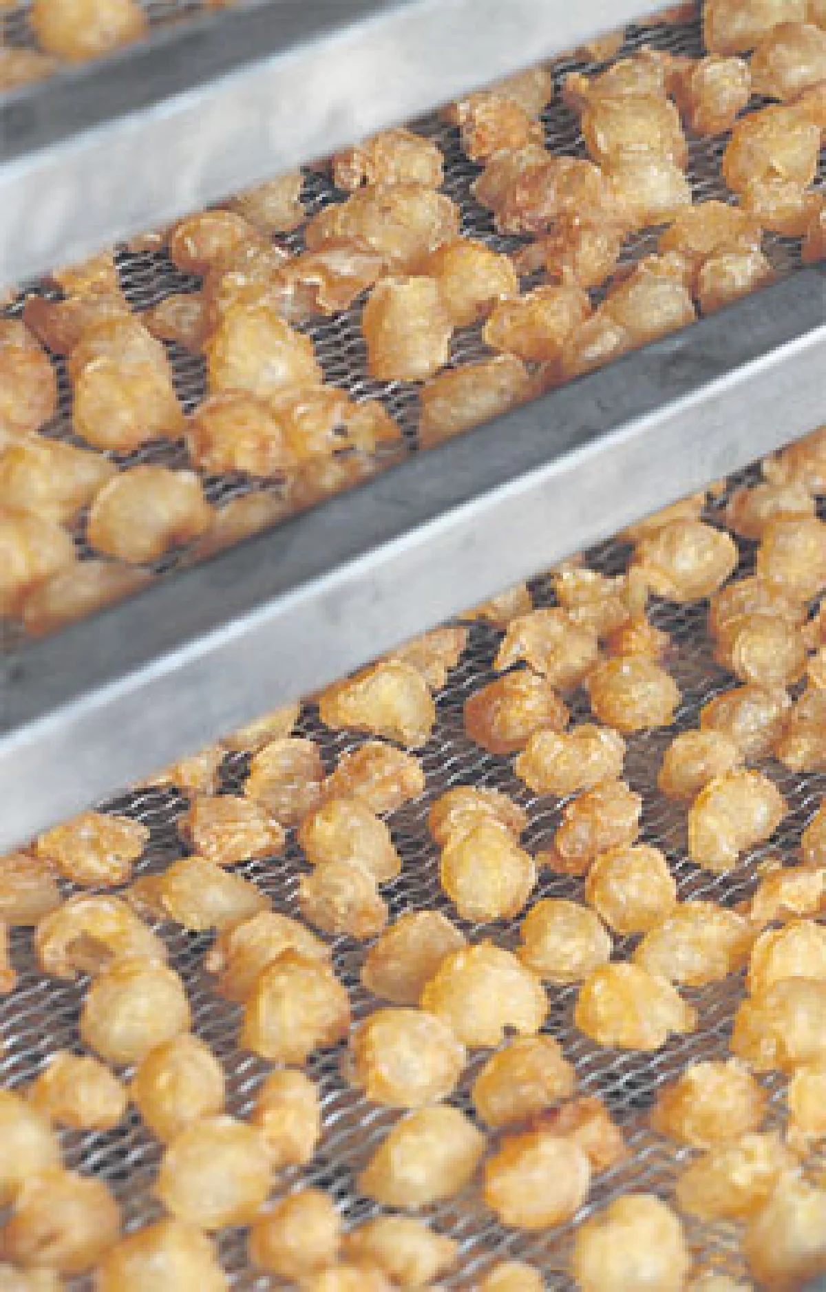 งานวิจัยที่พลิก 'ลำไย' สู่การเติบโตที่ยั่งยืน