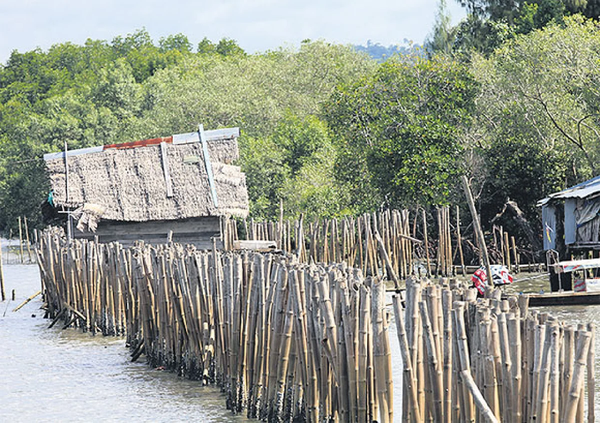 หอยรากที่เกาะกลาง