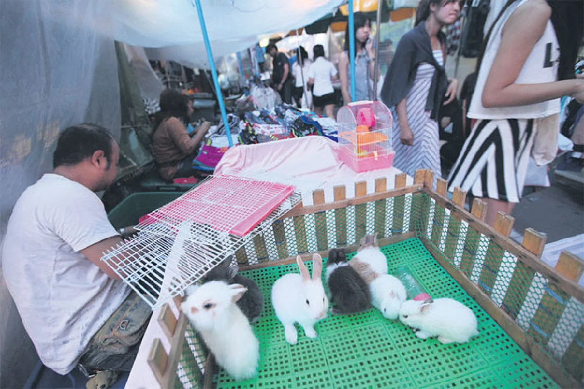 ตลาดนัดหน้าเมเจอร์ปิ่นเกล้าหลากสิ่งให้เลือกซื้อ