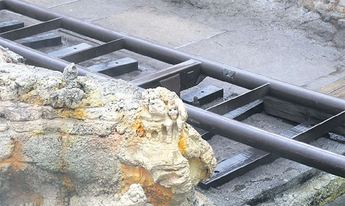 คนพิเศษไม่วิเศษ Hong Kong Disneyland