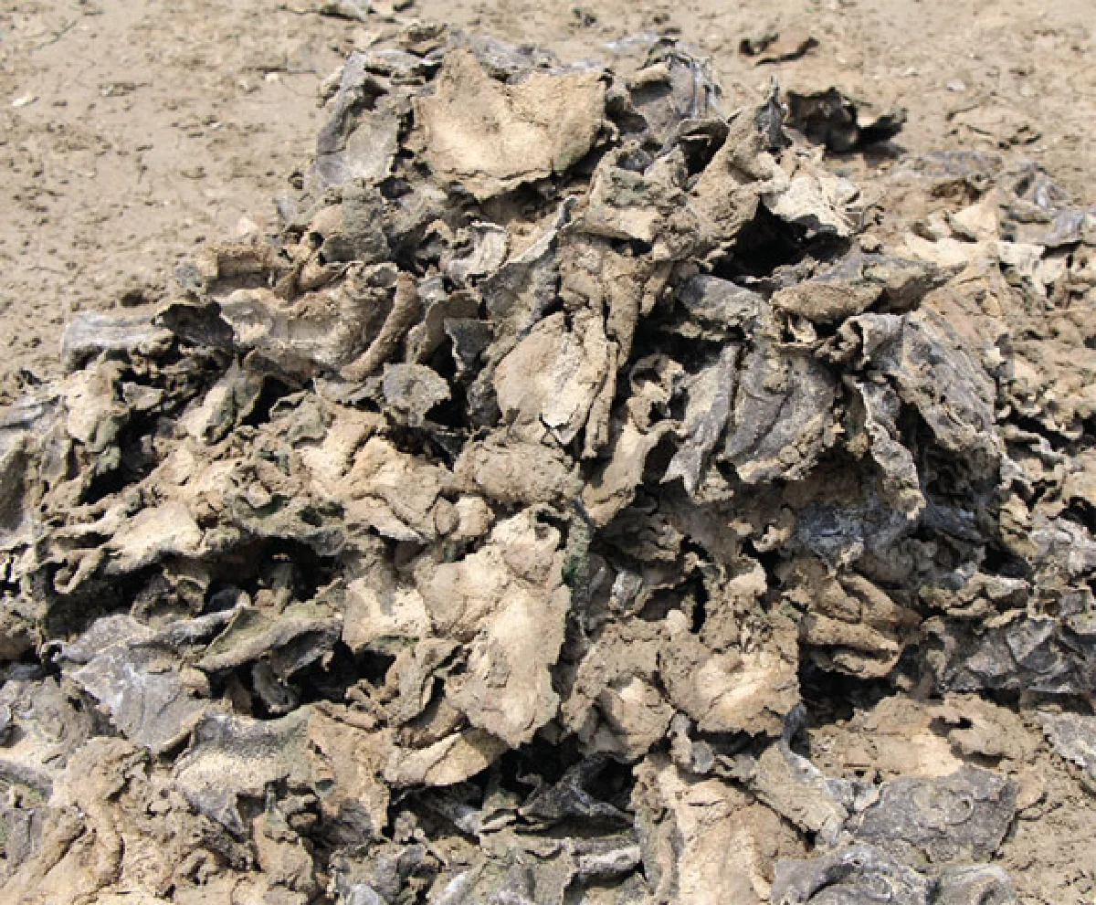 ขี้แดดนาเกลือขุมทองจากของเหลือใช้