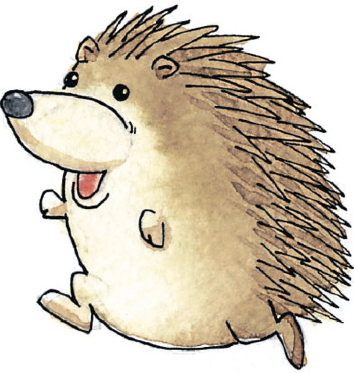 เจ้าเม่น จอมสลัดขน