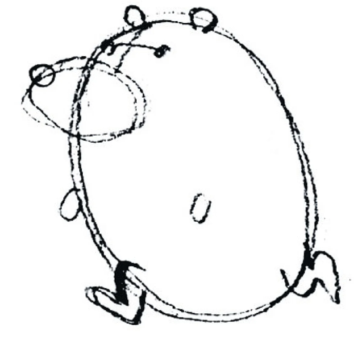 เจ้าเม่น จอมสลัดขน