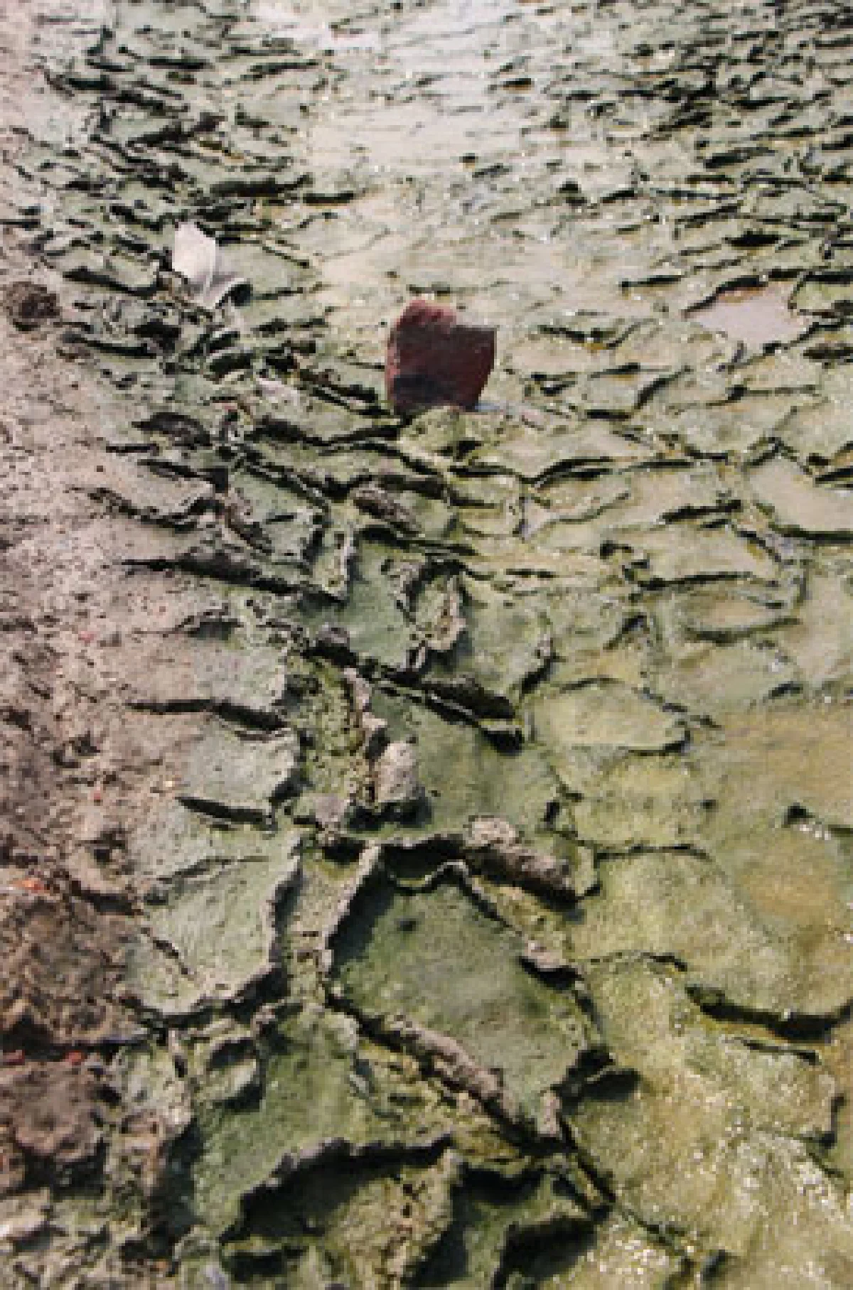 ขี้แดดนาเกลือขุมทองจากของเหลือใช้