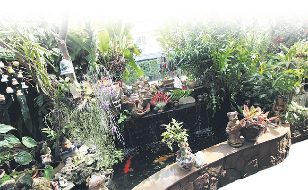 กวาง เอบี นอร์มอล กับบ้านที่ไม่นอร์มอล