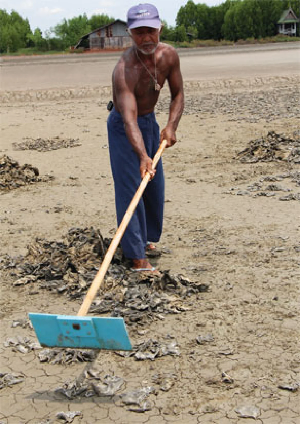 ขี้แดดนาเกลือขุมทองจากของเหลือใช้