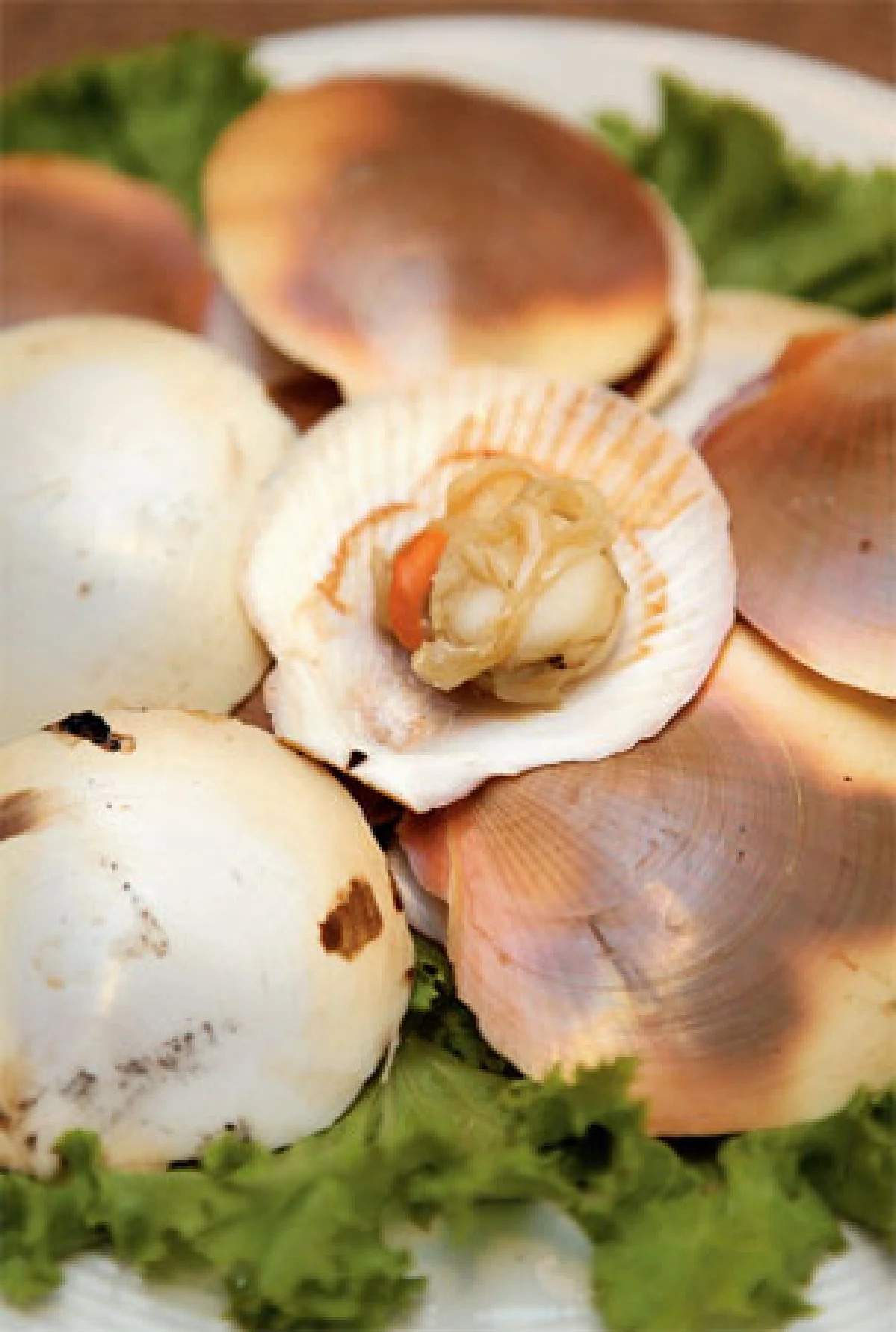 เรื่องเล่า...บ้านอำเภอ