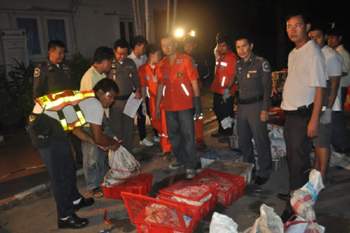 รวบขบวนการค้าสัตว์ป่าข้ามชาติยึดของกลางอื้อ