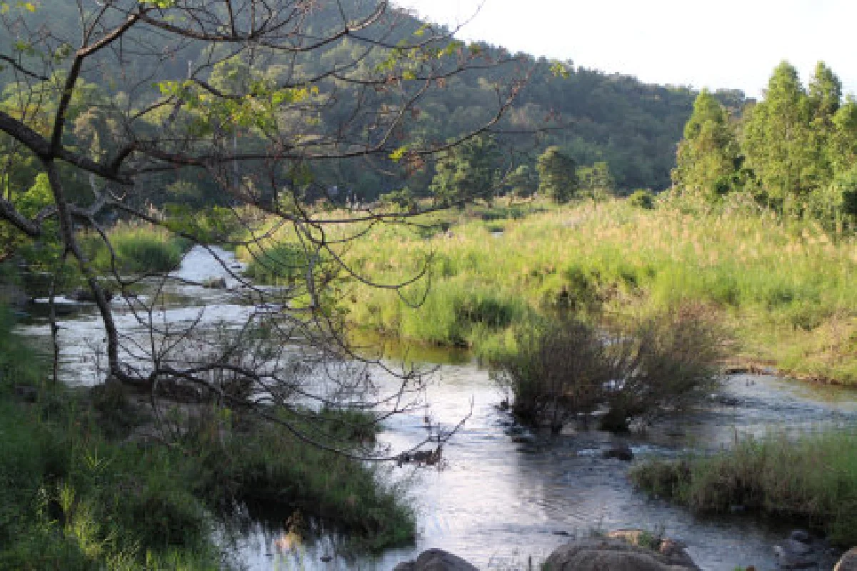 ต้านเขื่อนแม่วงก์กระตุกมวลชนหวงป่า