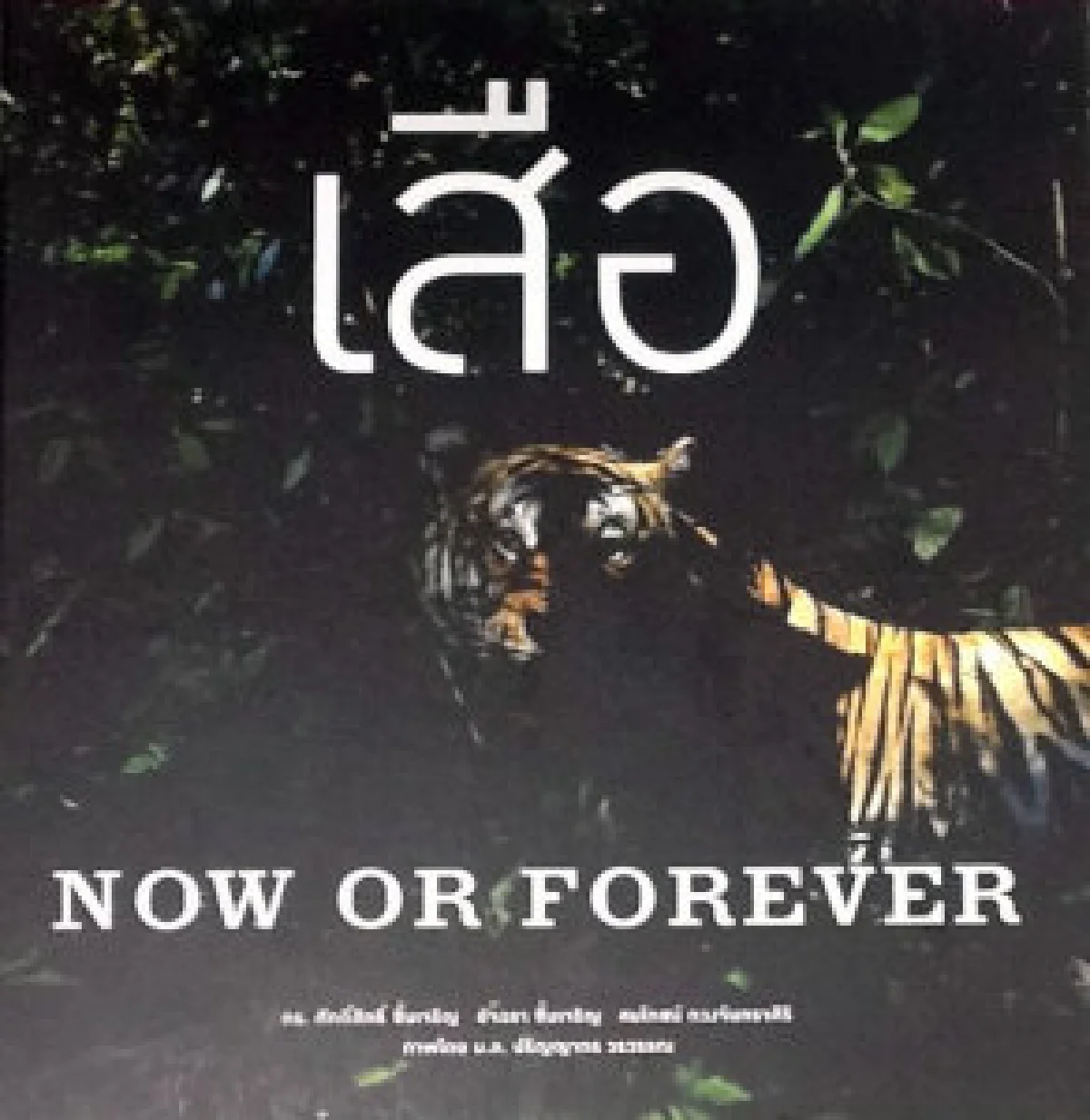 งัดข้อมูล "เสือ" โต้นักวิชาการ