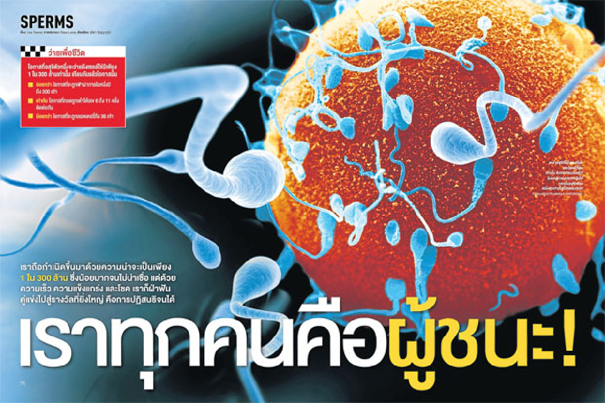 เราทุกคนคือผู้ชนะ เราทุกคนคือผู้ชนะ