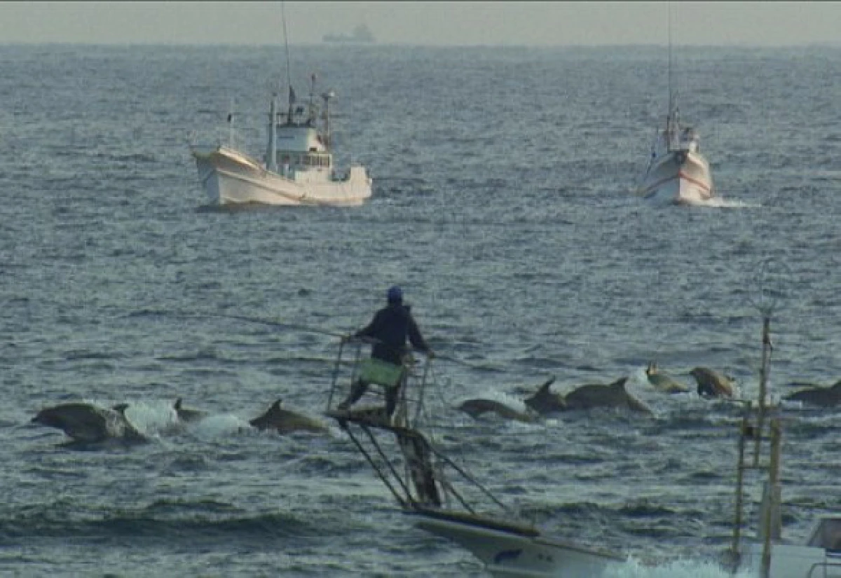 ญี่ปุ่นเตรียมผุดสวนน้ำเปิบโลมา