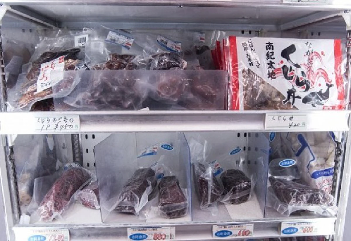 ญี่ปุ่นเตรียมผุดสวนน้ำเปิบโลมา