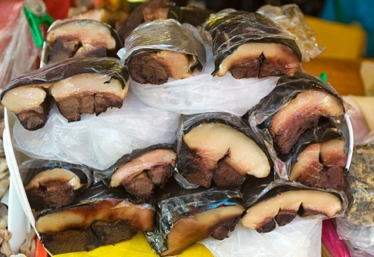 ญี่ปุ่นเตรียมผุดสวนน้ำเปิบโลมา